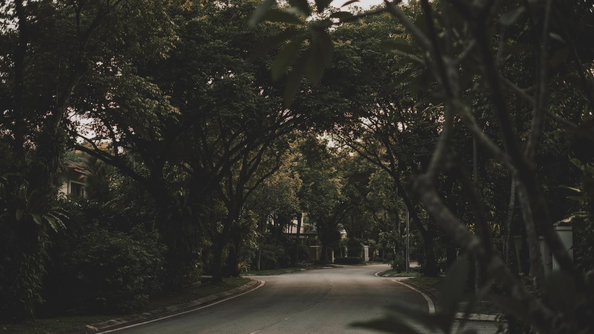 Taman Desa's quiet, tree-lined streets
