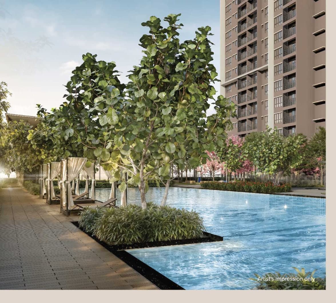 The 50 m lap pool at M Aspira, with cabanas and planting along its edge