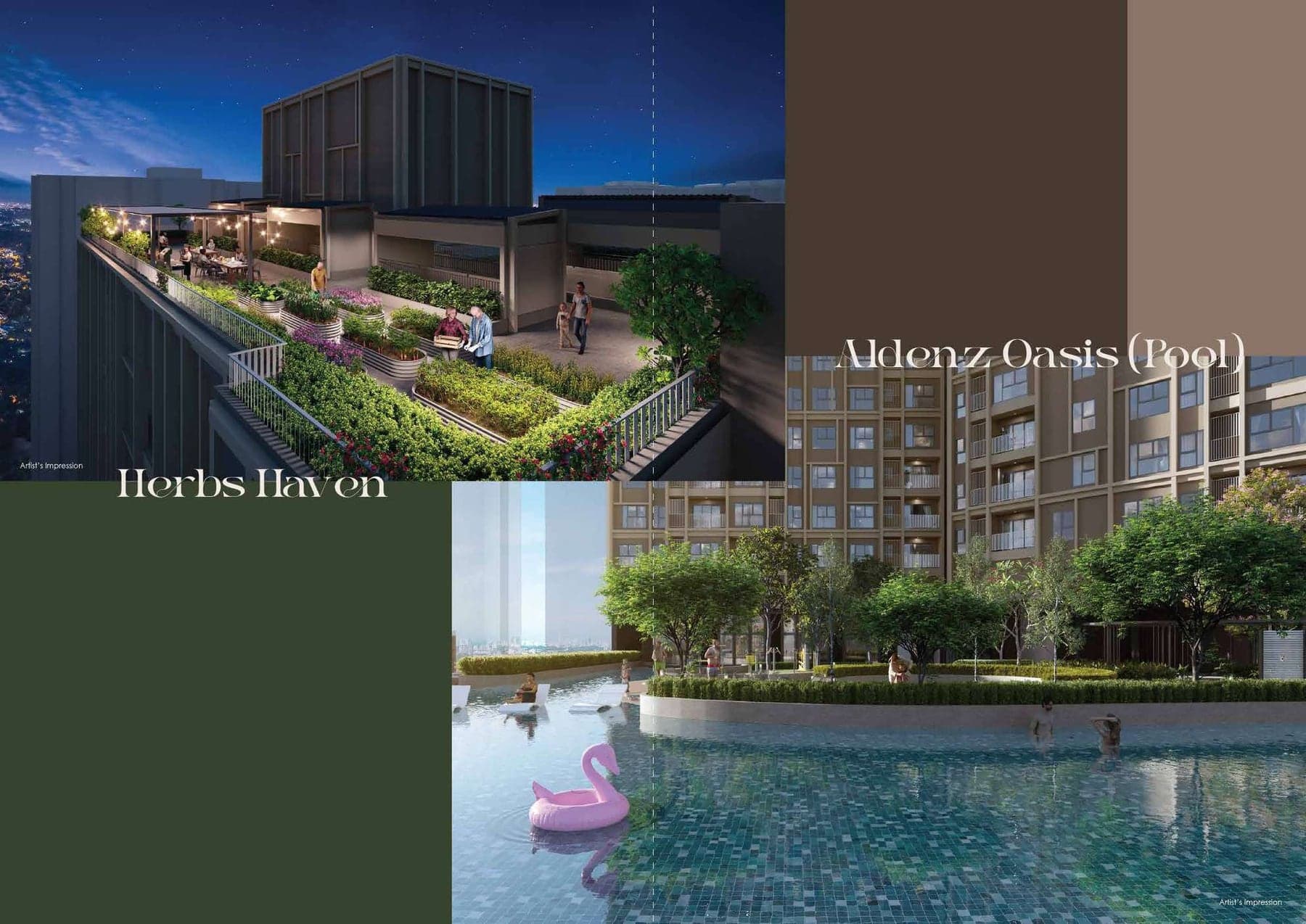 Herbs Haven on the rooftop, above Aldenz Oasis