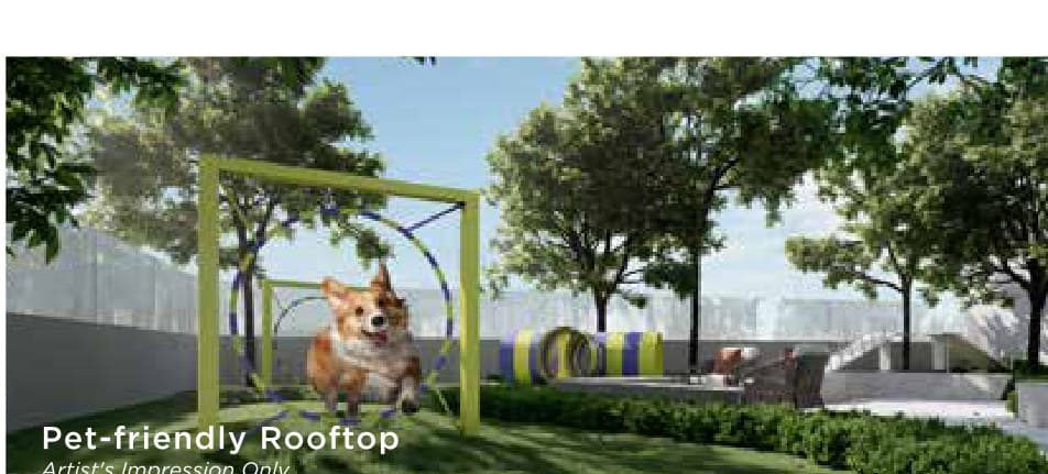 Talisa at Bangsar Hill Park — The pet-friendly rooftop