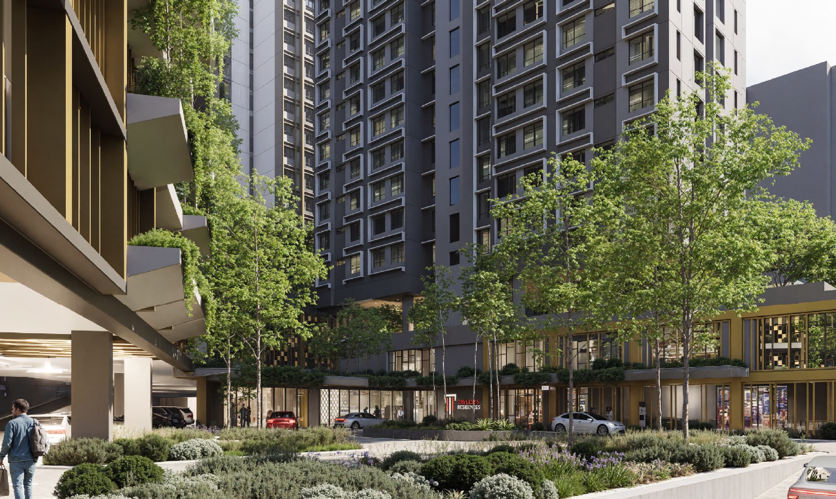 The landscaped pedestrian walkway and driveway through the site