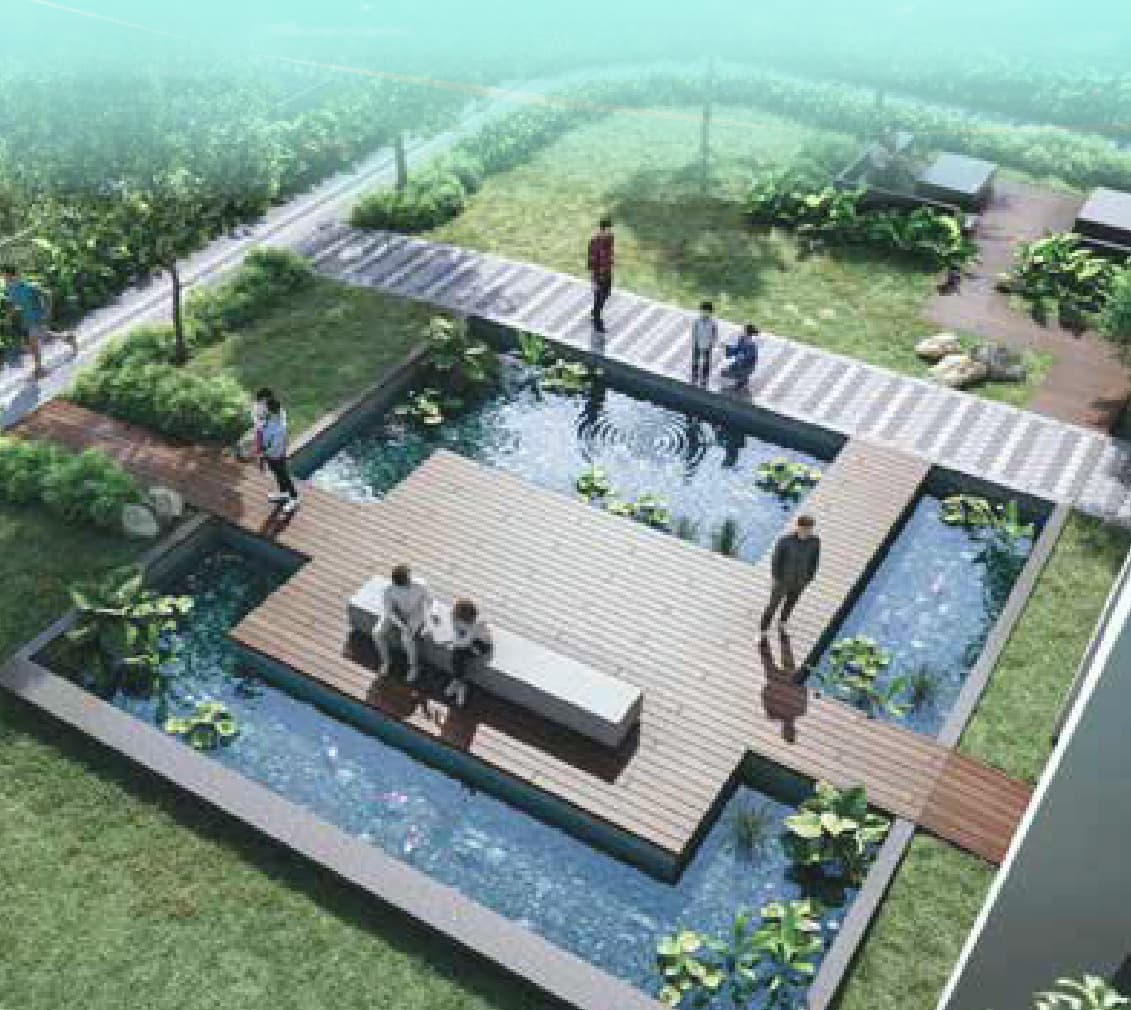 The KOI pond and its timber deck, off the courtyard garden