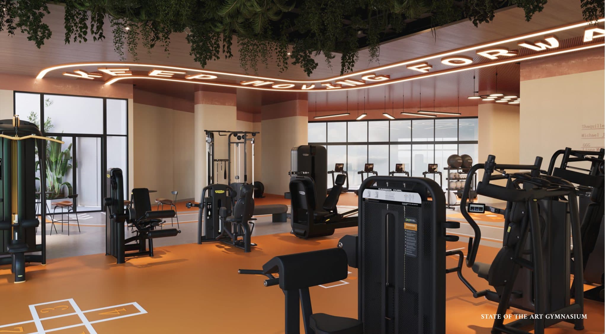 The state-of-the-art gymnasium